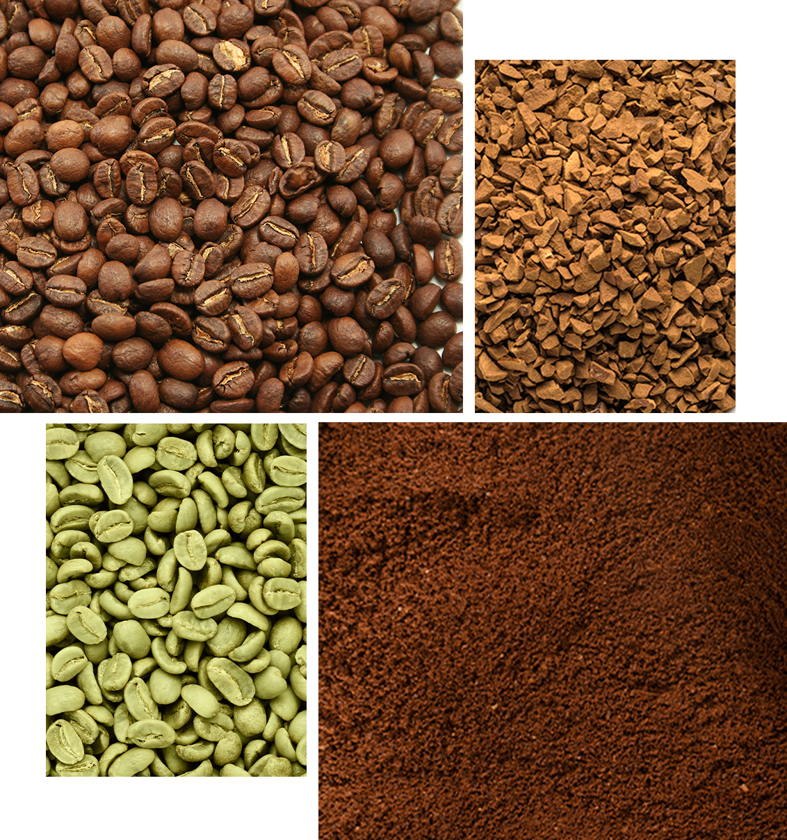 Ayurvedic Herbs