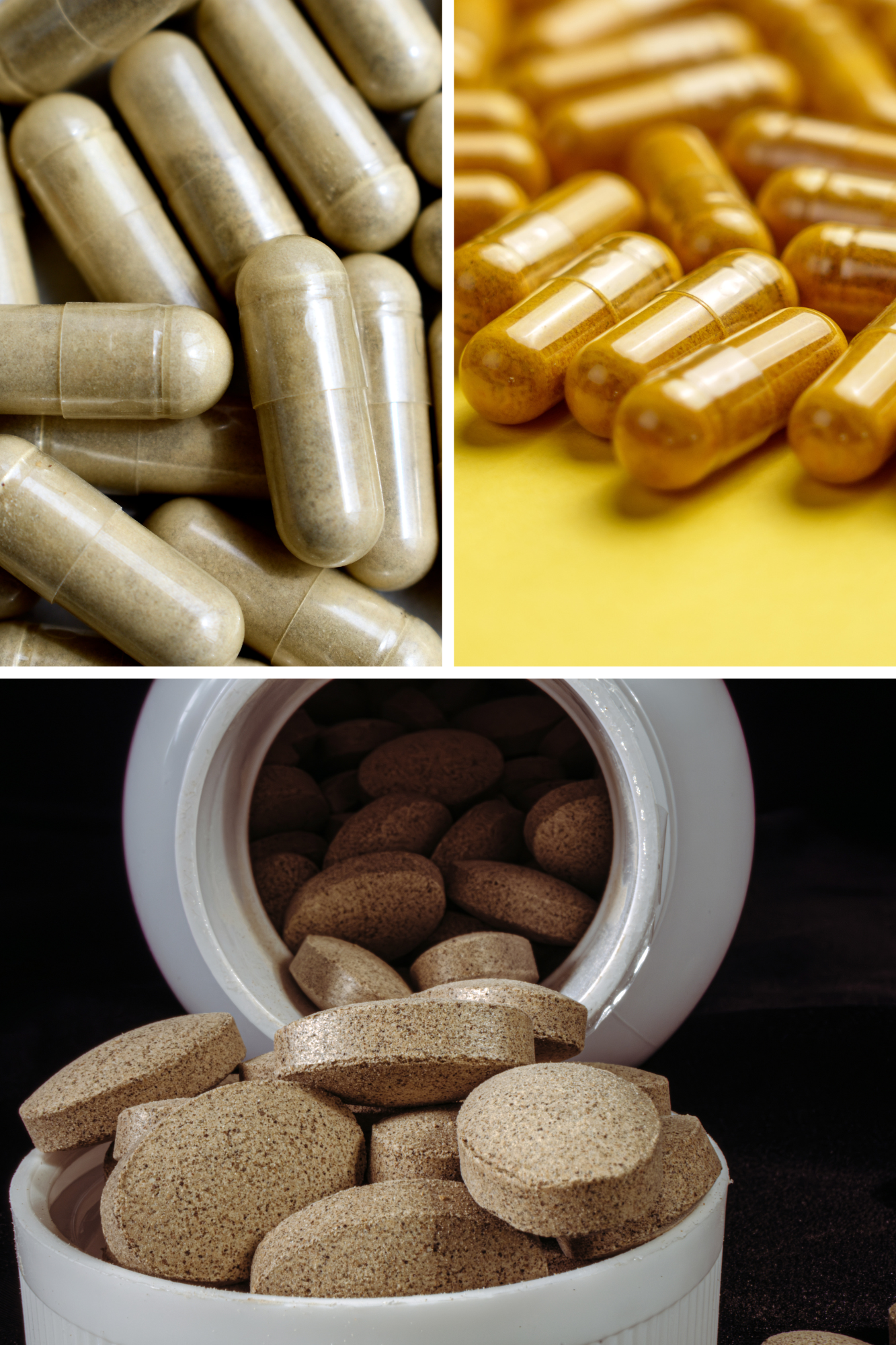 Ayurvedic Herbs